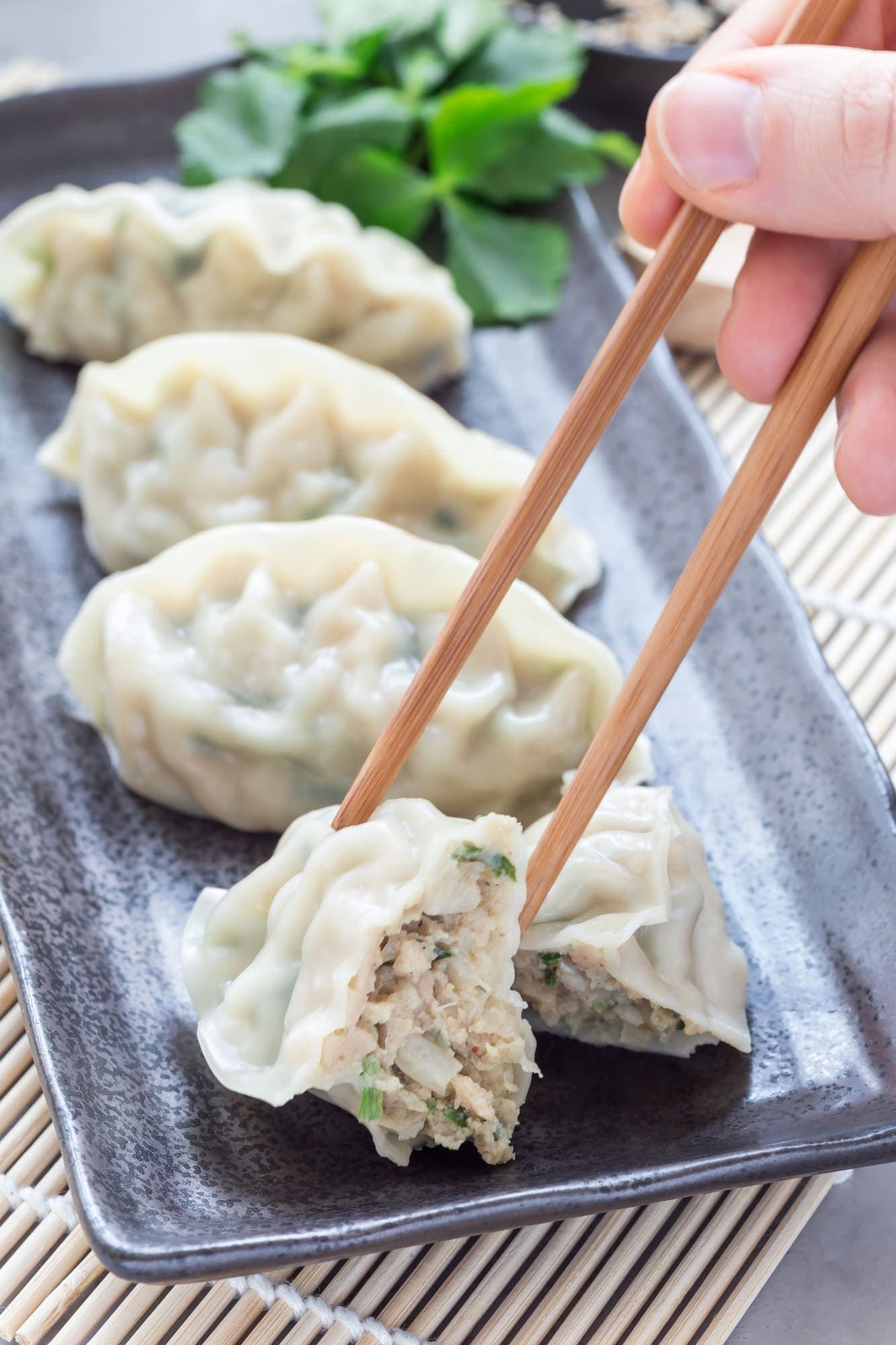 Chicken Dumplings
