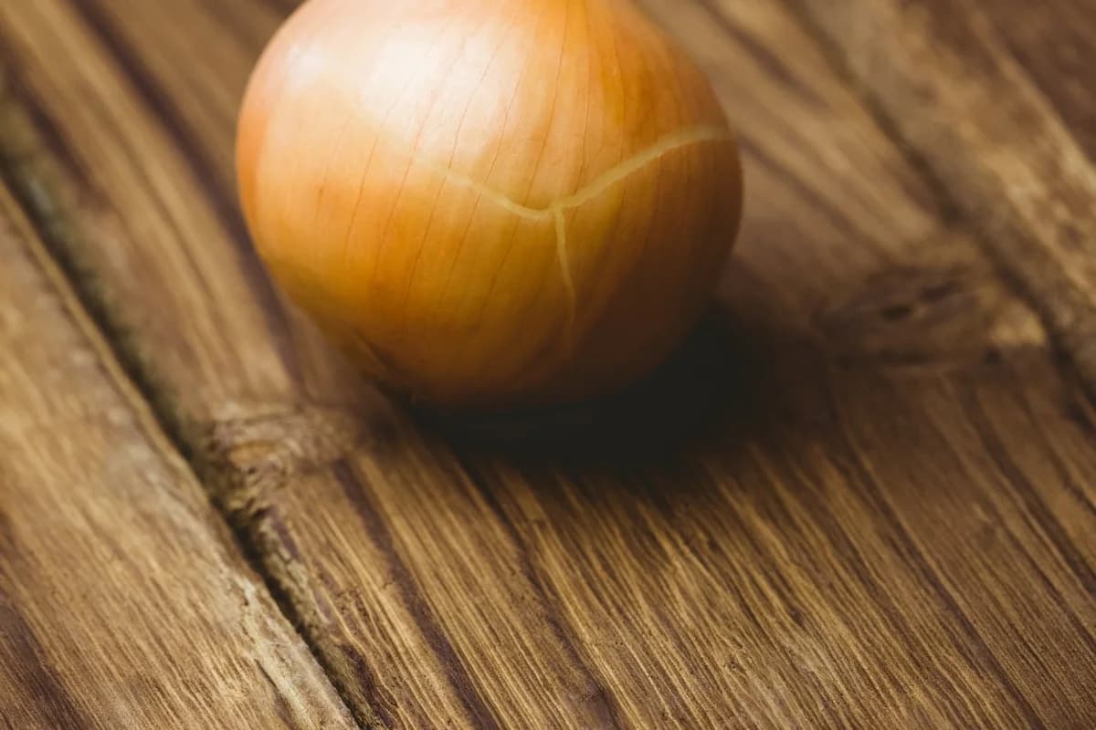 Onion Boil Recipe – Cozy Winter Onion Soup