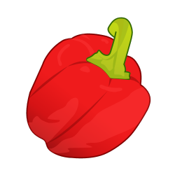 Fresh, bright red bell pepper